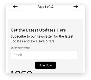 Newsletter Section Preview